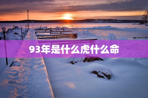 93年是什么虎什么命