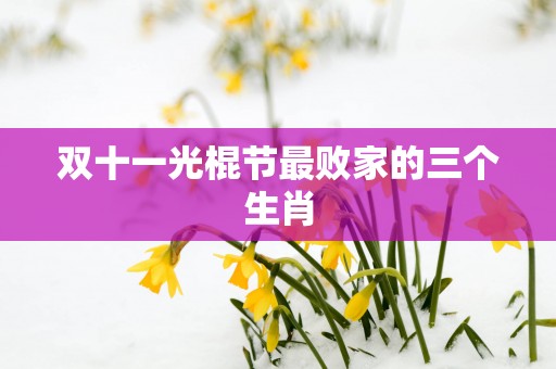 双十一光棍节最败家的三个生肖