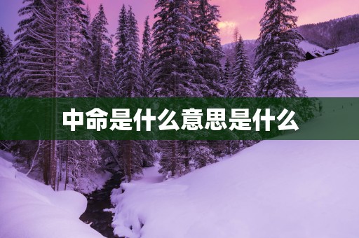 中命是什么意思是什么