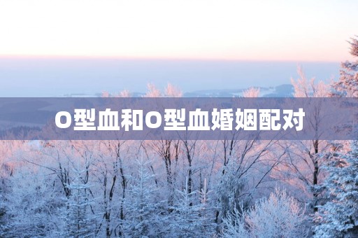 O型血和O型血婚姻配对