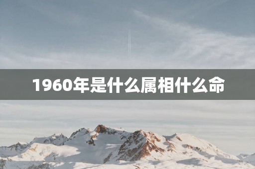1960年是什么属相什么命