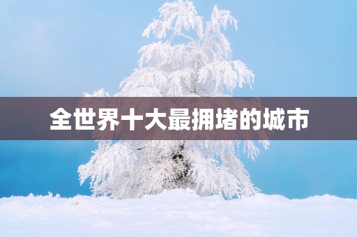 全世界十大最拥堵的城市