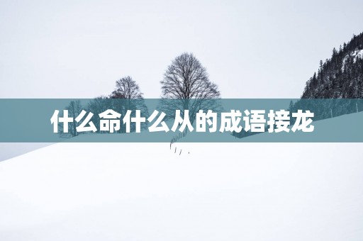 什么命什么从的成语接龙