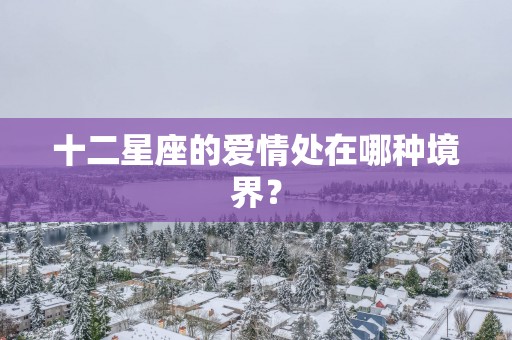 十二星座的爱情处在哪种境界？