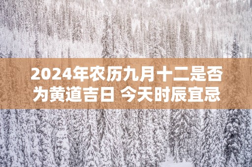 2025年农历九月十二是否为黄道吉日 今天时辰宜忌吉凶