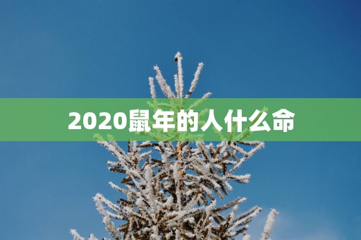 2025蛇年的人什么命