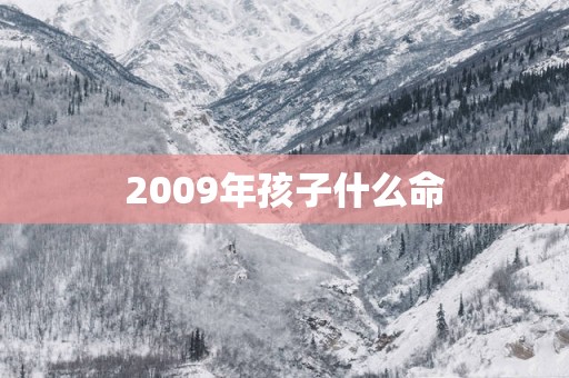 2009年孩子什么命