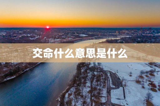 交命什么意思是什么
