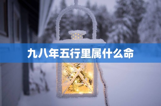 九八年五行里属什么命