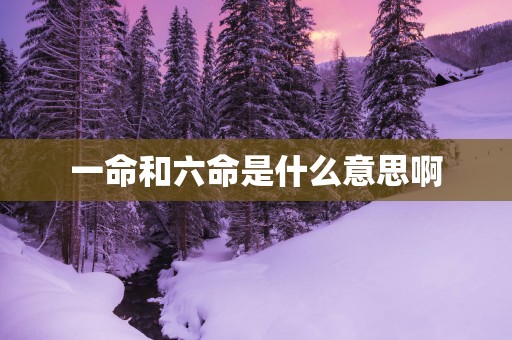 一命和六命是什么意思啊