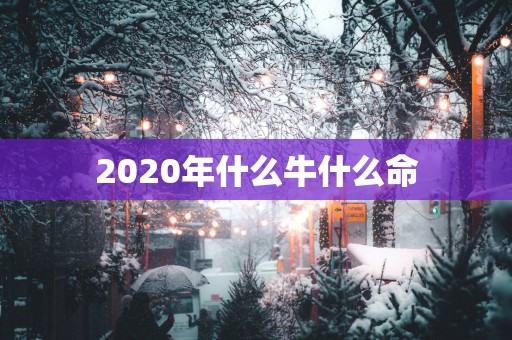 2025年什么牛什么命