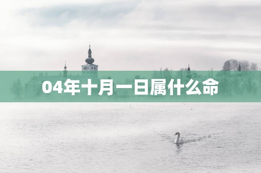 04年十月一日属什么命