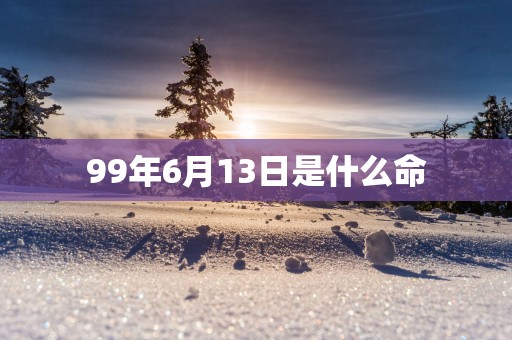99年6月13日是什么命
