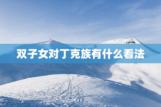 双子女对丁克族有什么看法