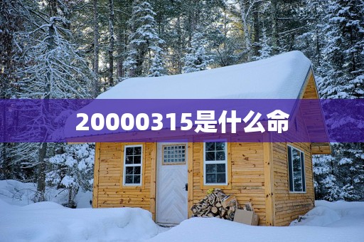20000315是什么命