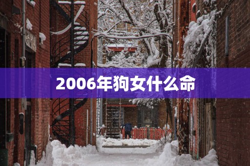 2006年狗女什么命
