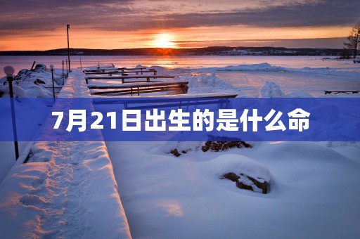 7月21日出生的是什么命
