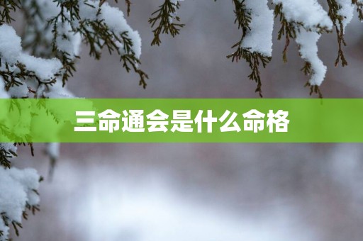 三命通会是什么命格
