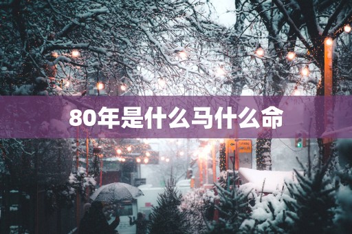 80年是什么马什么命