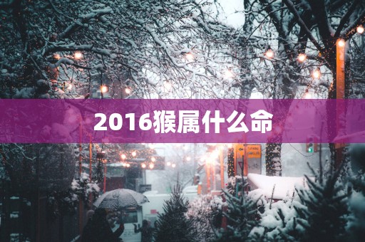 2016猴属什么命