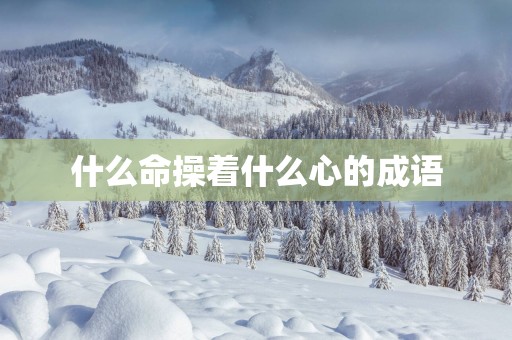 什么命操着什么心的成语