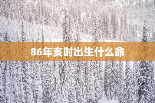 86年亥时出生什么命