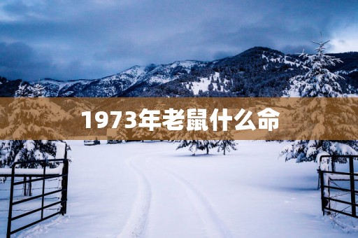 1973年老鼠什么命