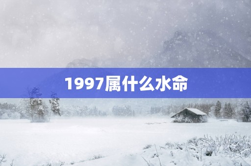 1997属什么水命