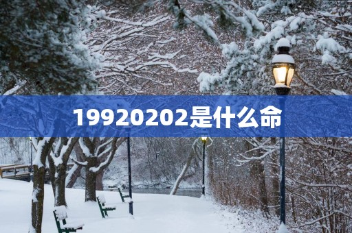 19920252是什么命