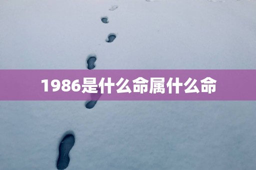 1986是什么命属什么命