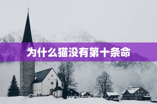 为什么猫没有第十条命