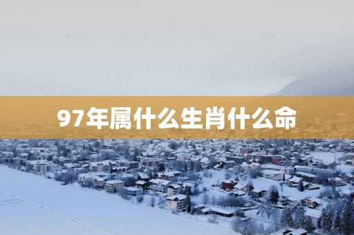 97年属什么生肖什么命