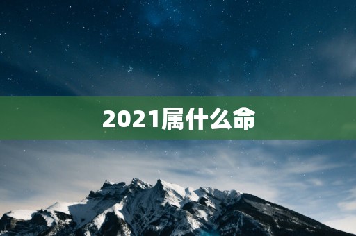 2025属什么命
