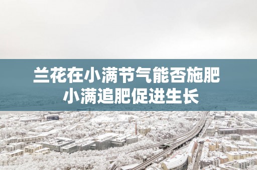 兰花在小满节气能否施肥  小满追肥促进生长