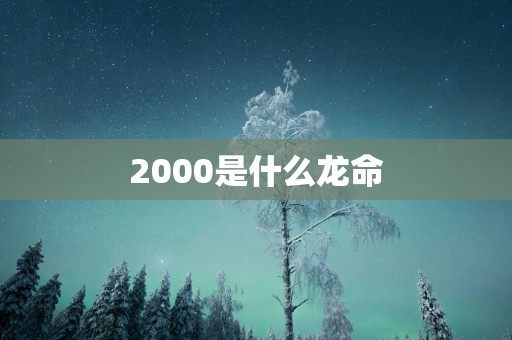 2000是什么龙命