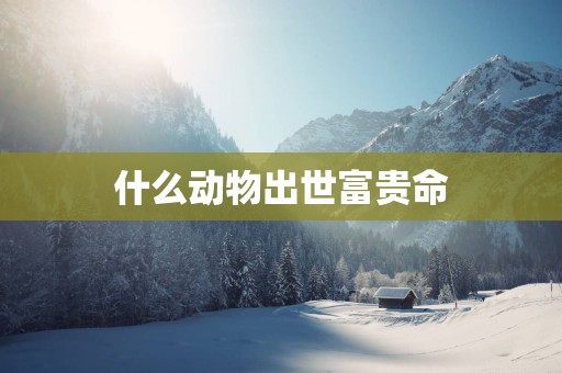 什么动物出世富贵命
