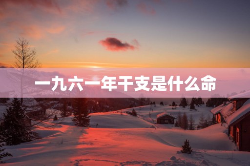 一九六一年干支是什么命