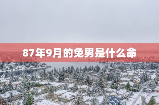 87年9月的兔男是什么命