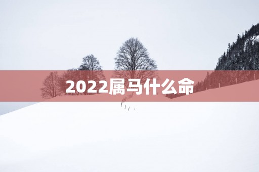 2025属马什么命