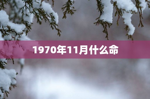 1970年11月什么命