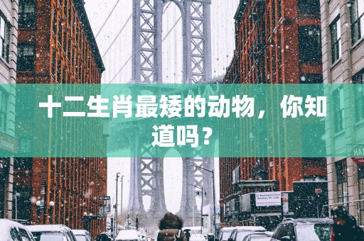 十二生肖最矮的动物，你知道吗？