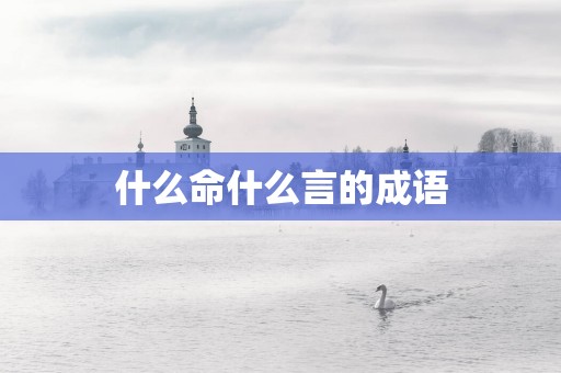 什么命什么言的成语