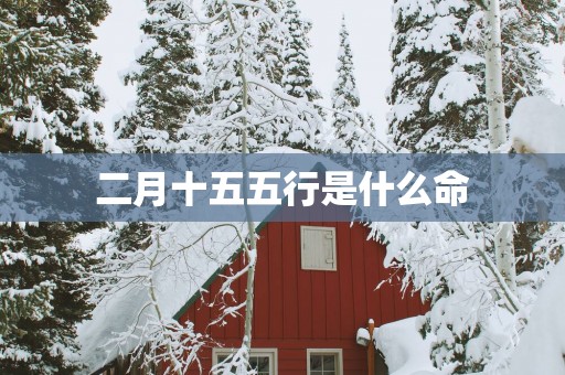 二月十五五行是什么命