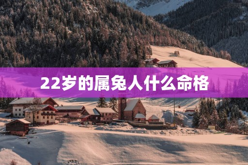 22岁的属兔人什么命格