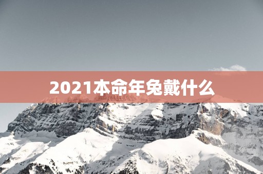 2025本命年兔戴什么