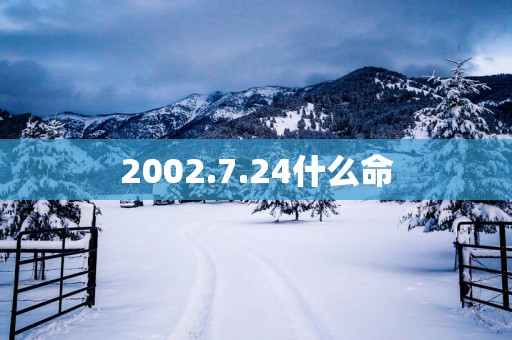 2002.7.24什么命