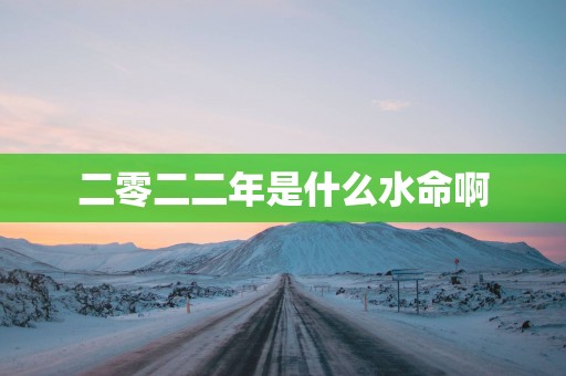 二零二二年是什么水命啊