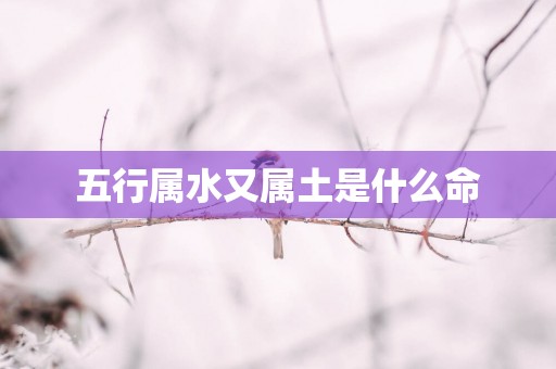 五行属水又属土是什么命