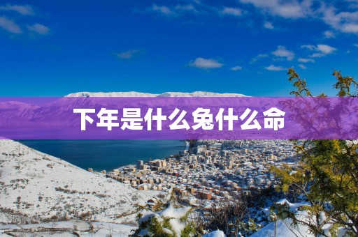 下年是什么兔什么命