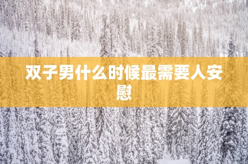 双子男什么时候最需要人安慰